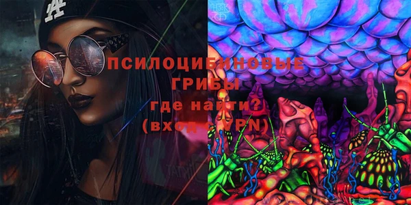молекула духа Белокуриха