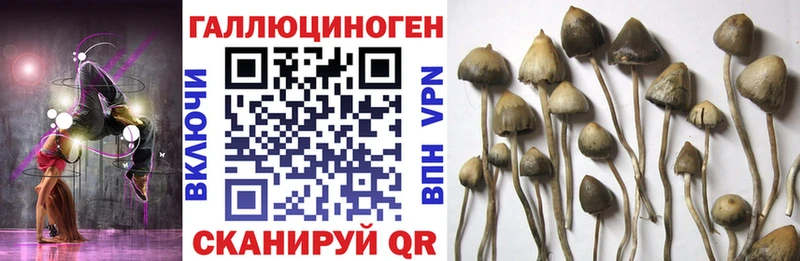 гидра онион  наркошоп  Ершов  Псилоцибиновые грибы Magic Shrooms 